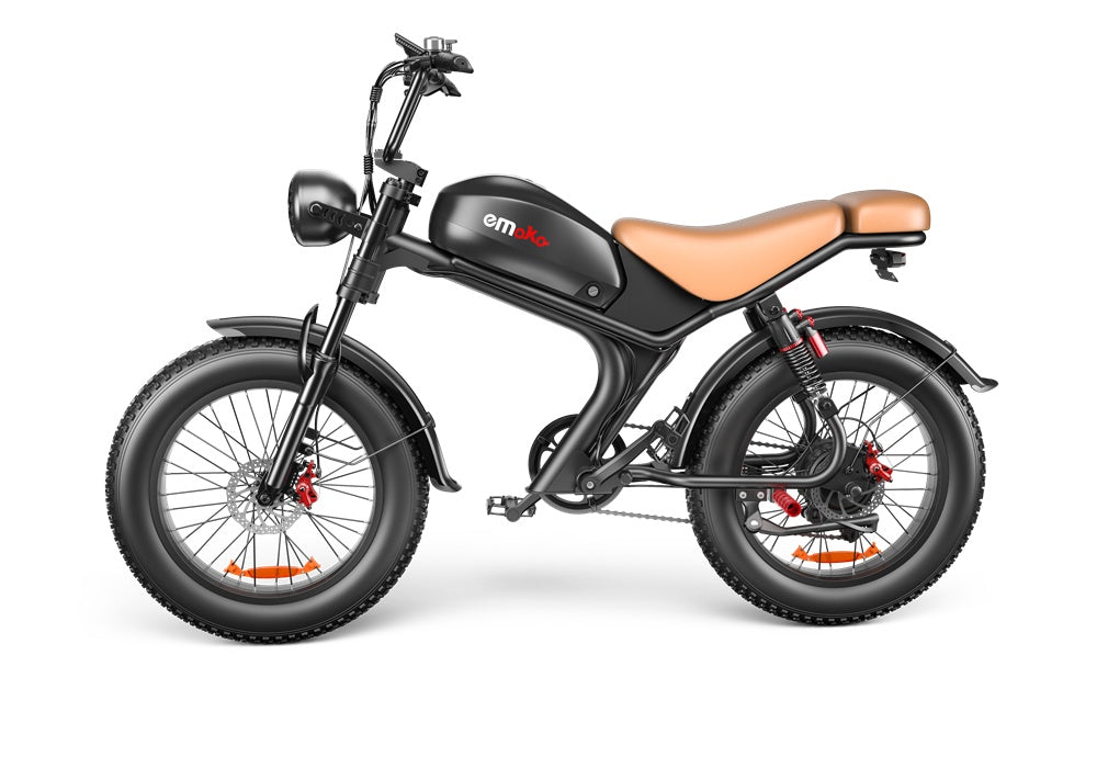 1000W Fat Tire Electric Bike