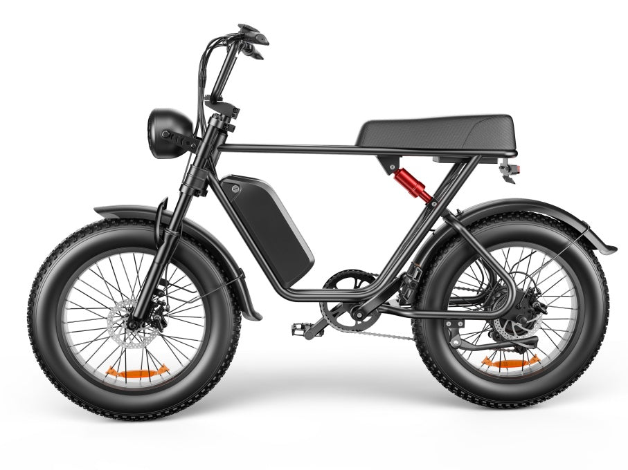 C91 48V 1000W Fat Tire Electric Bike