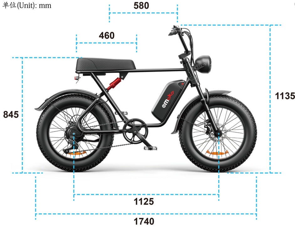 C91 48V 1000W Fat Tire Electric Bike