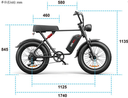 C91 48V 1000W Fat Tire Electric Bike