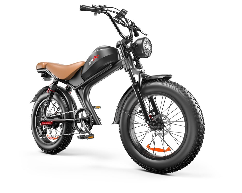 1000W Fat Tire Electric Bike
