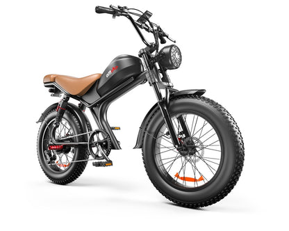 1000W Fat Tire Electric Bike