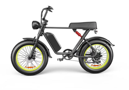 C91 48V 1000W Fat Tire Electric Bike