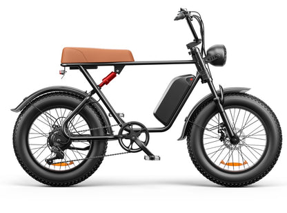 C91 48V 1000W Fat Tire Electric Bike