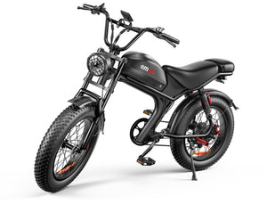 1000W Fat Tire Electric Bike