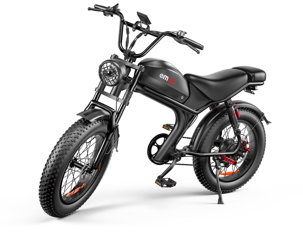 1000W Fat Tire Electric Bike