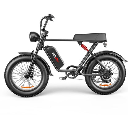 C91 48V 1000W Fat Tire Electric Bike