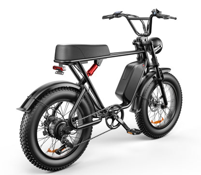 C91 48V 1000W Fat Tire Electric Bike