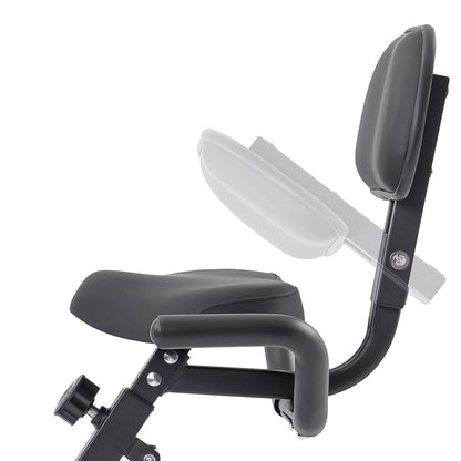 2-in-1 Foldable Exercise Bike