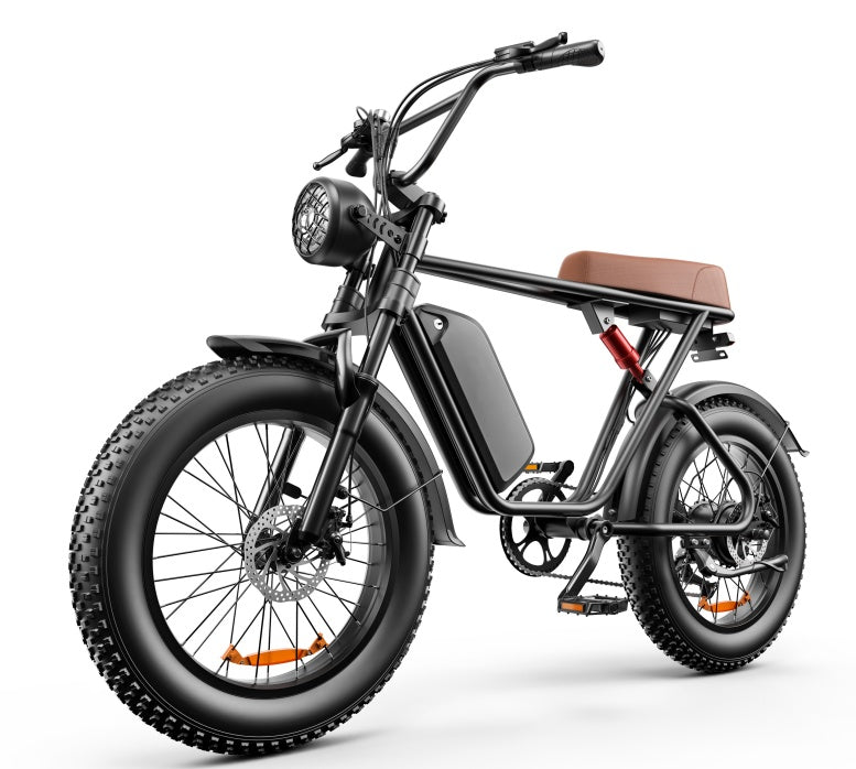 C91 48V 1000W Fat Tire Electric Bike